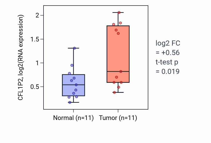 Tumor-vs-normal expression box plot for CFL1P2 in UCEC.