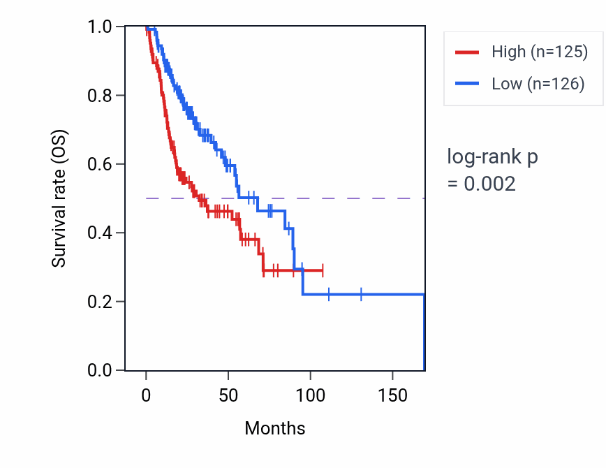 Kaplan&ndash;Meier survival curve for CFL2 RNA expression in HNSC: high vs low expression groups.