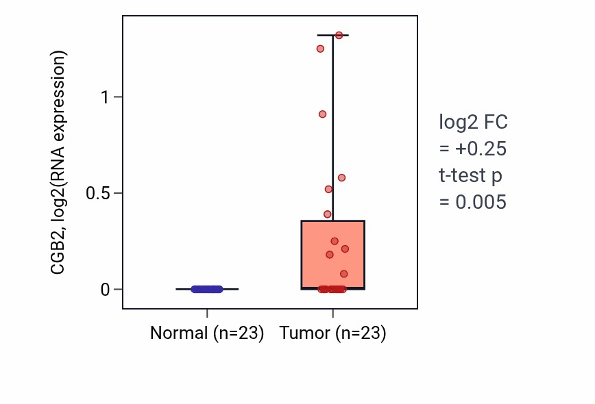 Tumor-vs-normal expression box plot for CGB2 RNA in UCEC.