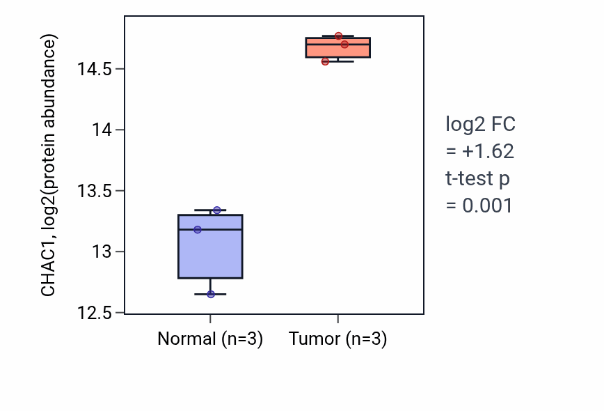 Tumor-vs-normal mass-spec protein box plot for CHAC1 in LSCC.
