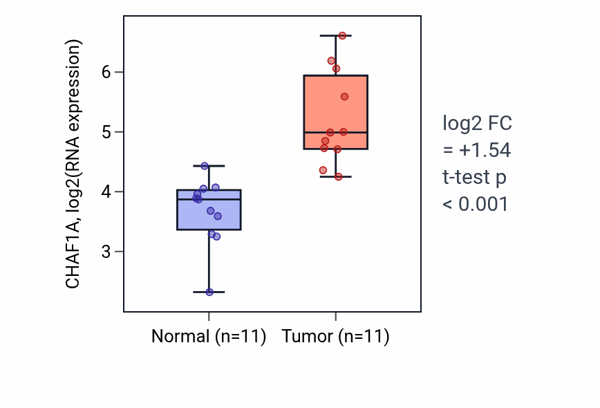 Tumor-vs-normal expression box plot for CHAF1A in HNSC.