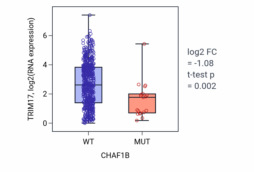 Box plot of TRIM17 in CHAF1B-low vs CHAF1B-high samples in UCEC.