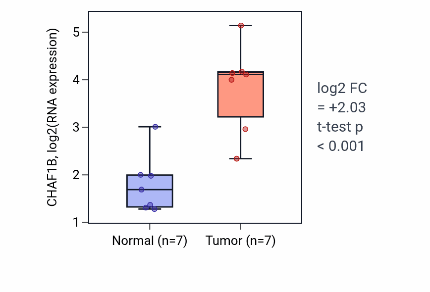 Tumor-vs-normal expression box plot for CHAF1B in BLCA.