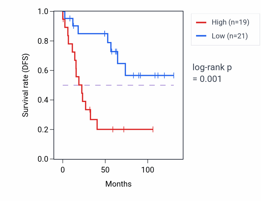 Kaplan&ndash;Meier survival curve for CHCHD2P11 RNA expression in KIRC: high vs low expression groups.