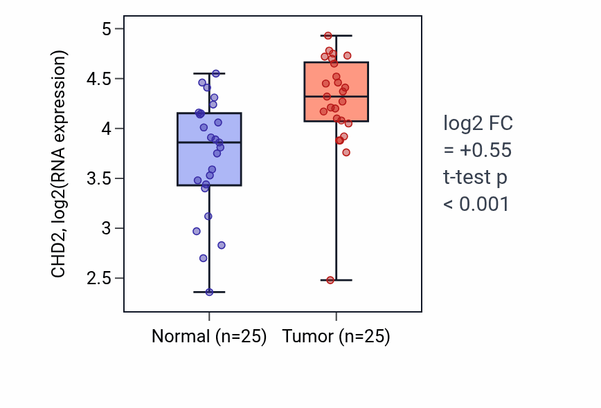 Tumor-vs-normal expression box plot for CHD2 in HNSC.