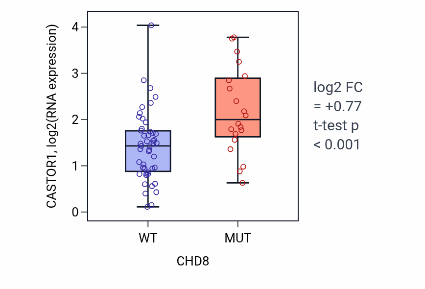 Box plot of CASTOR1 in CHD8-low vs CHD8-high samples in LARGE_INTESTINE.