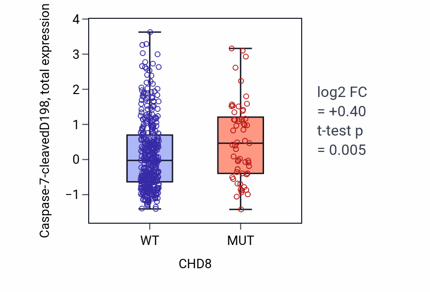 Box plot of Caspase-7-cleavedD198 in CHD8-low vs CHD8-high samples in UCEC.