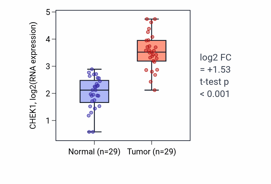 Tumor-vs-normal expression box plot for CHEK1 in HNSC.