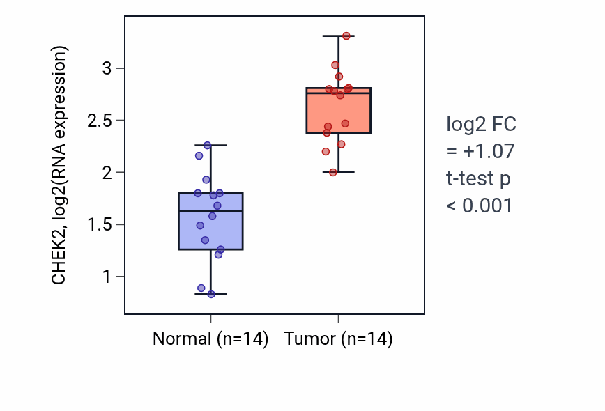 Tumor-vs-normal expression box plot for CHEK2 in KIRC.