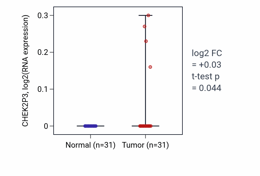 Tumor-vs-normal expression box plot for CHEK2P3 in KIRP.