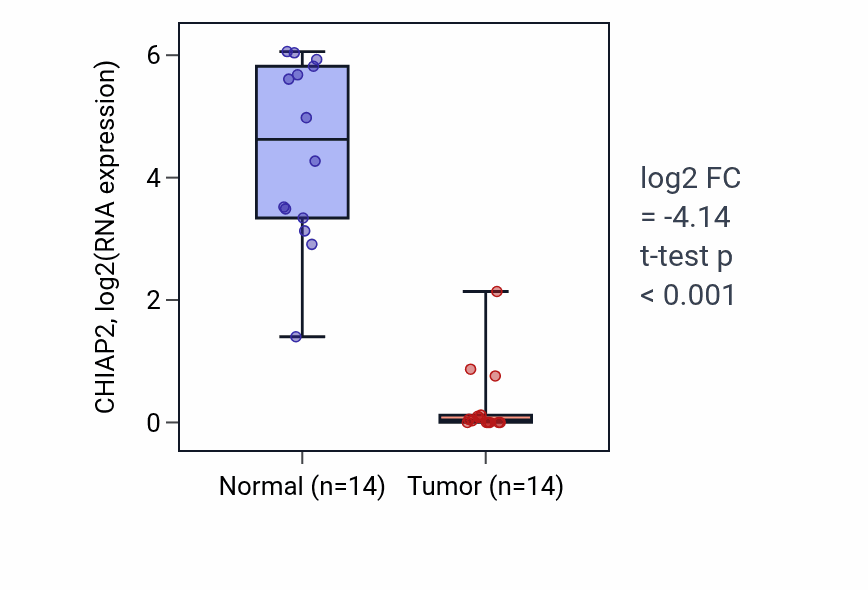 Tumor-vs-normal expression box plot for CHIAP2 in LUSC.