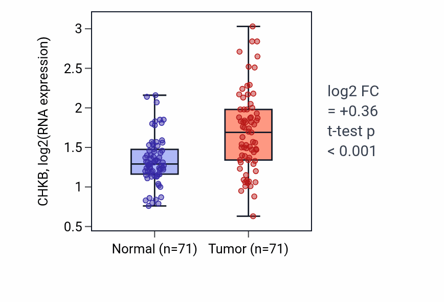Tumor-vs-normal expression box plot for CHKB in KIRC.