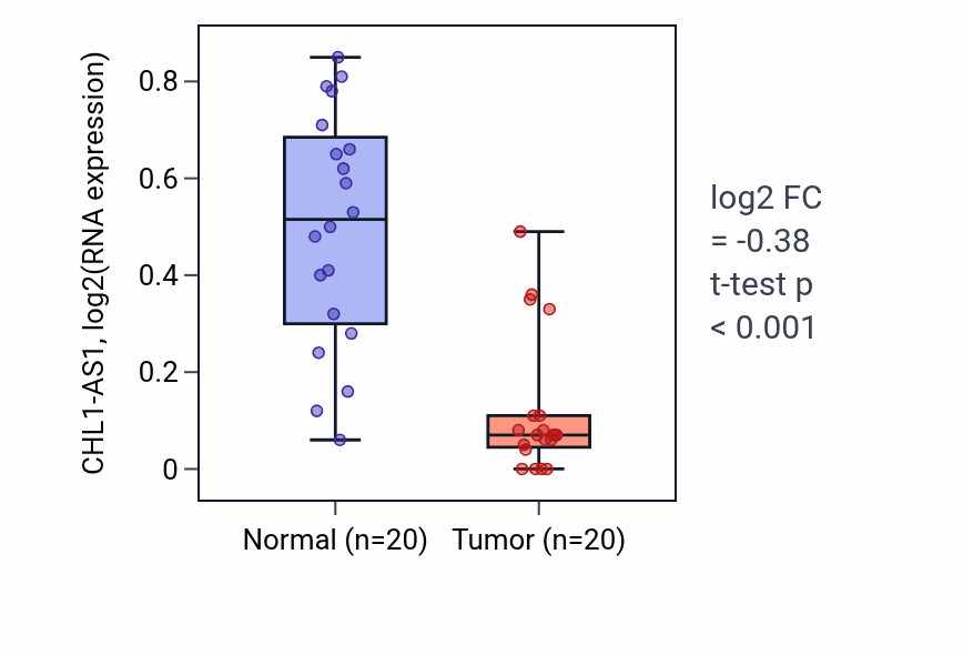 Tumor-vs-normal expression box plot for CHL1-AS1 in KIRC.