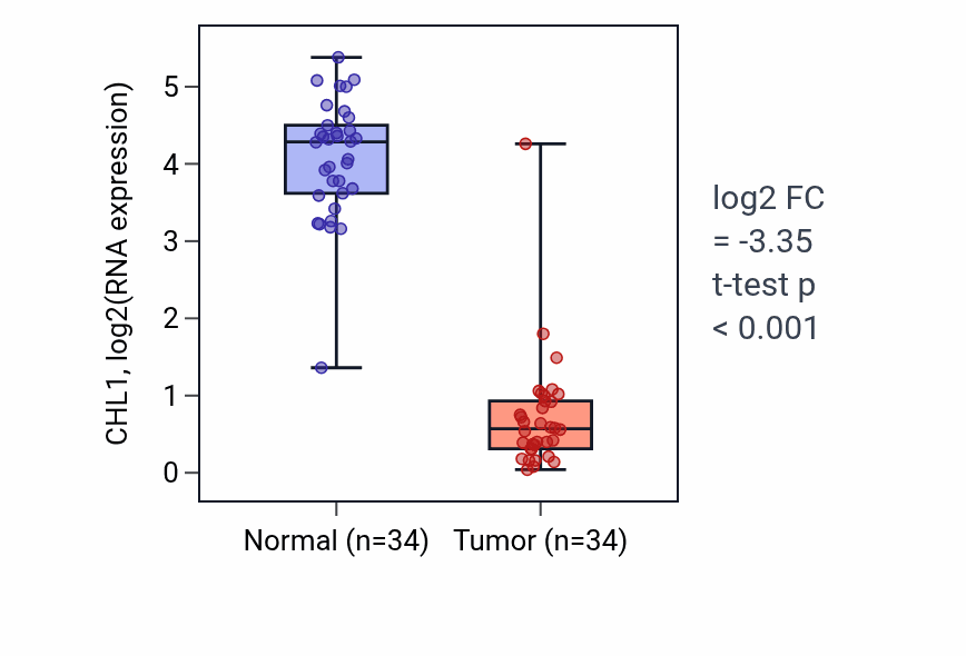 Tumor-vs-normal expression box plot for CHL1 in KIRC.