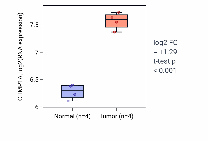 Tumor-vs-normal expression box plot for CHMP1A in KIRP.