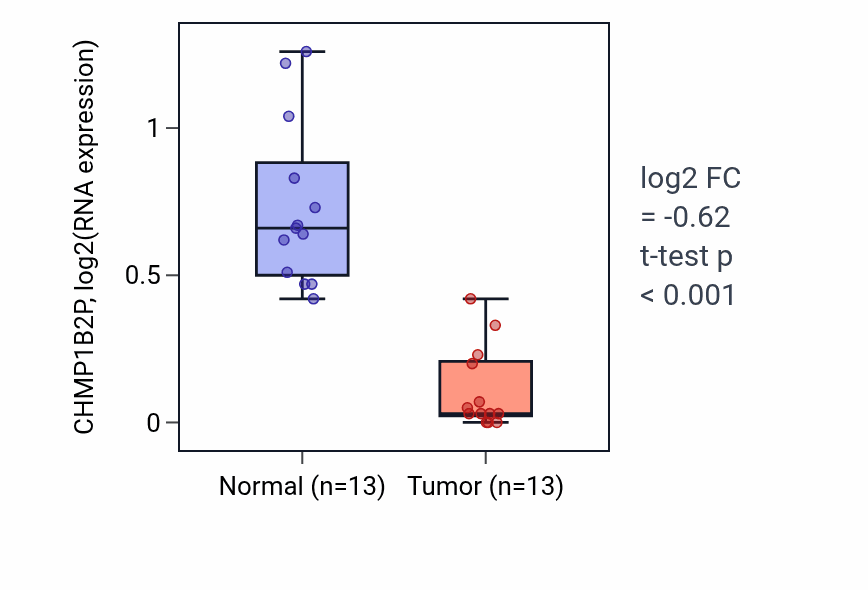 Tumor-vs-normal expression box plot for CHMP1B2P RNA in KIRC.