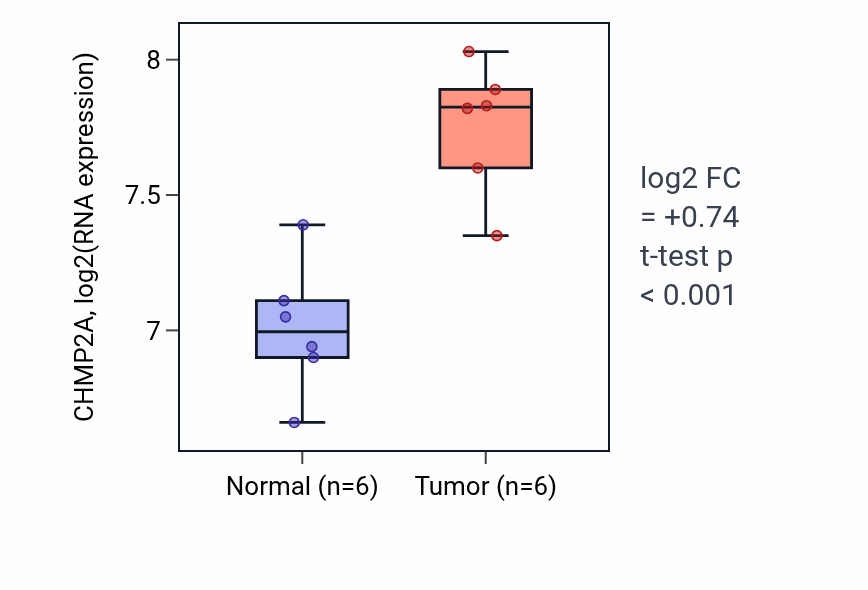 Tumor-vs-normal expression box plot for CHMP2A in KIRC.