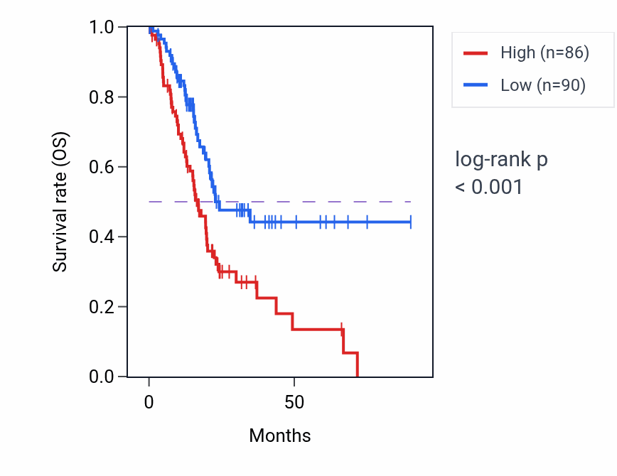 Kaplan&ndash;Meier survival curve for CHMP2B RNA expression in PAAD: high vs low expression groups.