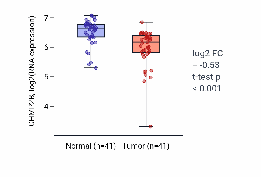 Tumor-vs-normal expression box plot for CHMP2B in THCA.