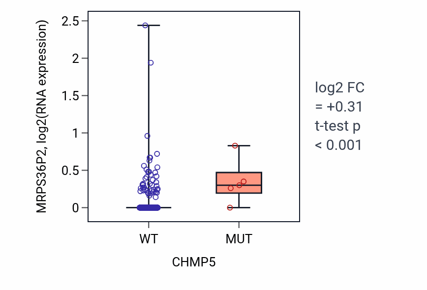 Box plot of MRPS36P2 in CHMP5-low vs CHMP5-high samples in LUSC.