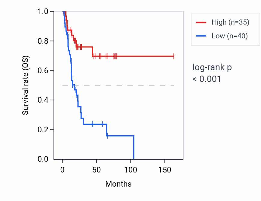Kaplan&ndash;Meier survival curve for CHMP5P1 RNA expression in BLCA: high vs low expression groups.