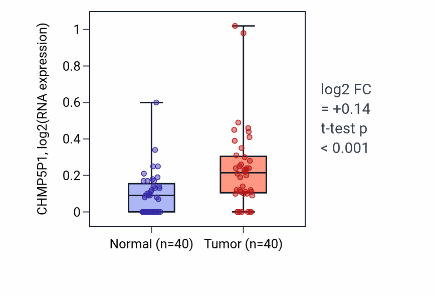 Tumor-vs-normal expression box plot for CHMP5P1 in HNSC.