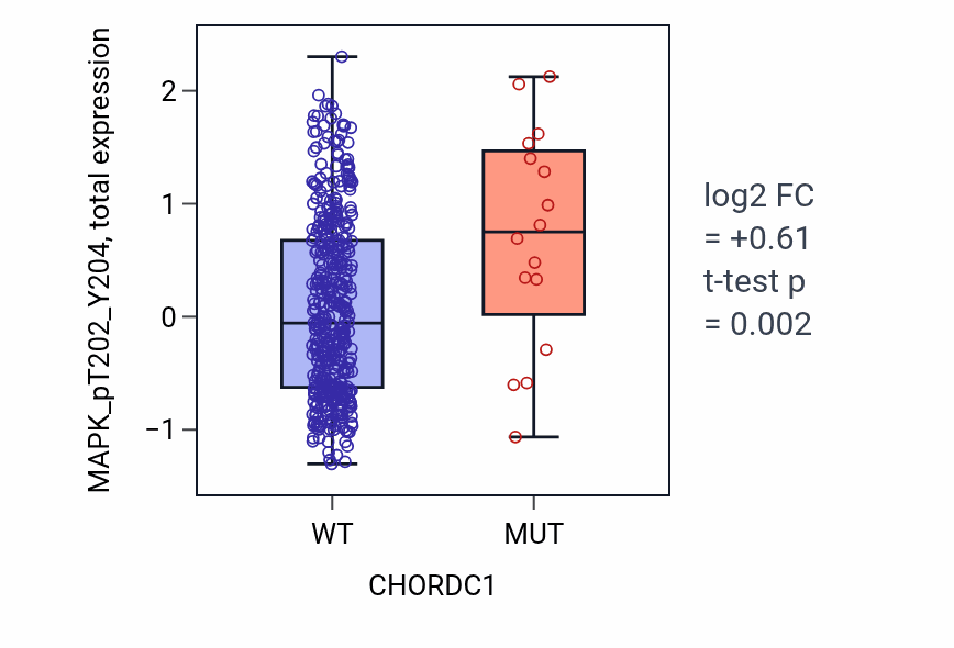 Box plot of MAPK_pT202_Y204 in CHORDC1-low vs CHORDC1-high samples in UCEC.