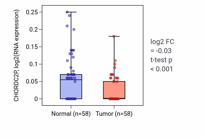 Tumor-vs-normal expression box plot for CHORDC2P in THCA.