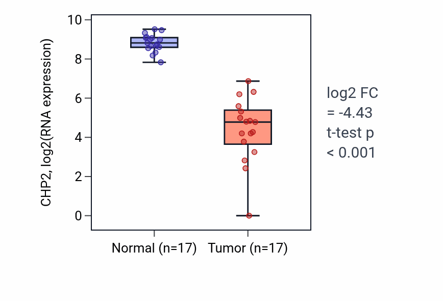 Tumor-vs-normal expression box plot for CHP2 in COAD.