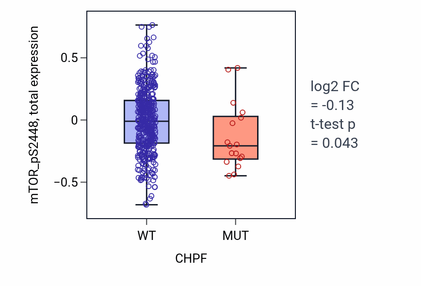 Box plot of mTOR_pS2448 in CHPF-low vs CHPF-high samples in UCEC.