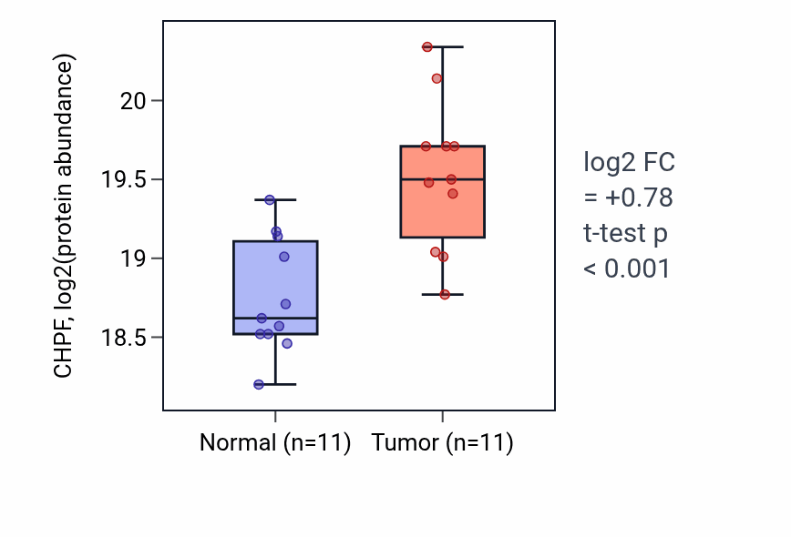 Tumor-vs-normal mass-spec protein box plot for CHPF in CCRCC.