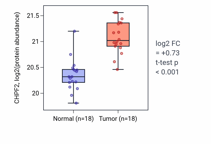 Tumor-vs-normal mass-spec protein box plot for CHPF2 in HNSC.