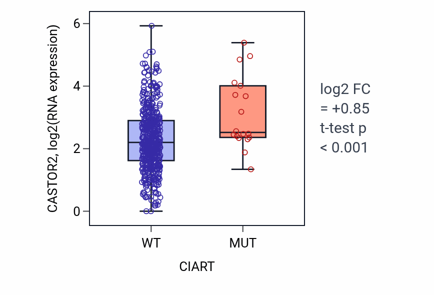 Box plot of CASTOR2 in CIART-low vs CIART-high samples in UCEC.