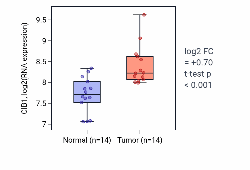 Tumor-vs-normal expression box plot for CIB1 in KIRC.
