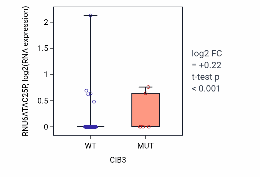 Box plot of RNU6ATAC25P in CIB3-low vs CIB3-high samples in COAD.