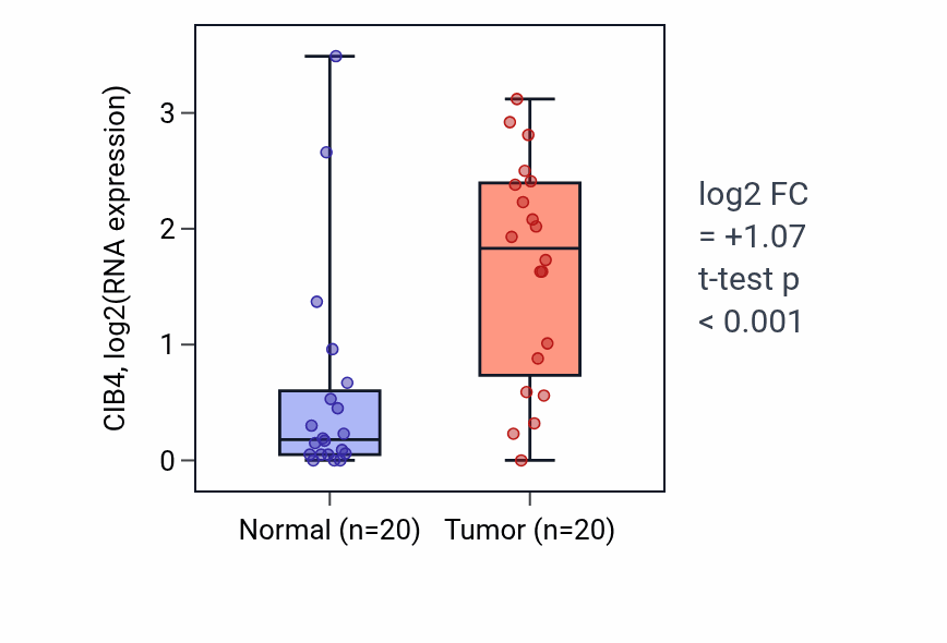 Tumor-vs-normal expression box plot for CIB4 in KIRC.