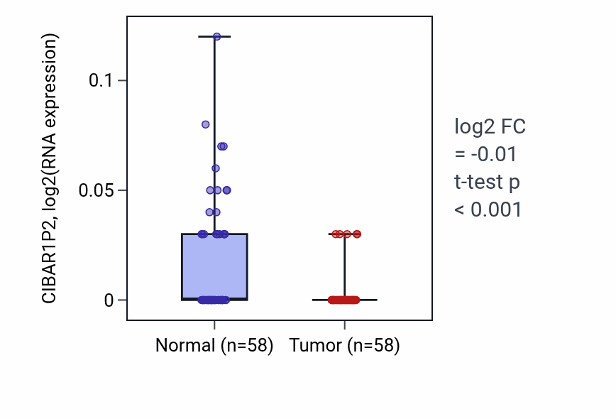 Tumor-vs-normal expression box plot for CIBAR1P2 in THCA.