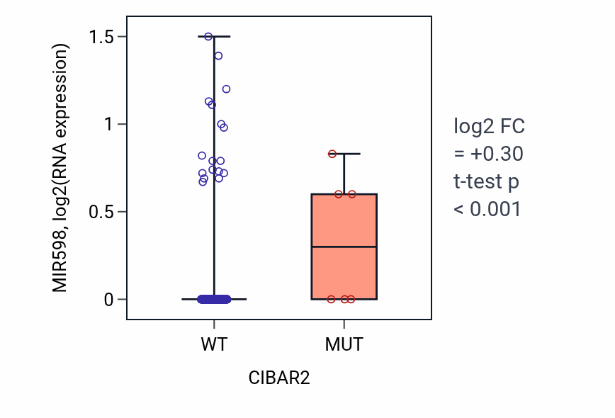 Box plot of MIR598 in CIBAR2-low vs CIBAR2-high samples in COAD.