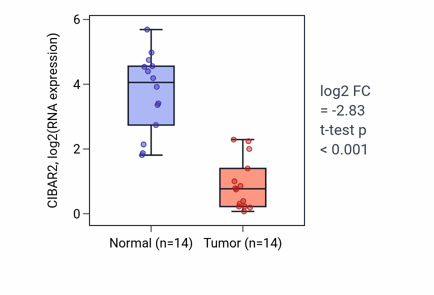 Tumor-vs-normal expression box plot for CIBAR2 in LUSC.