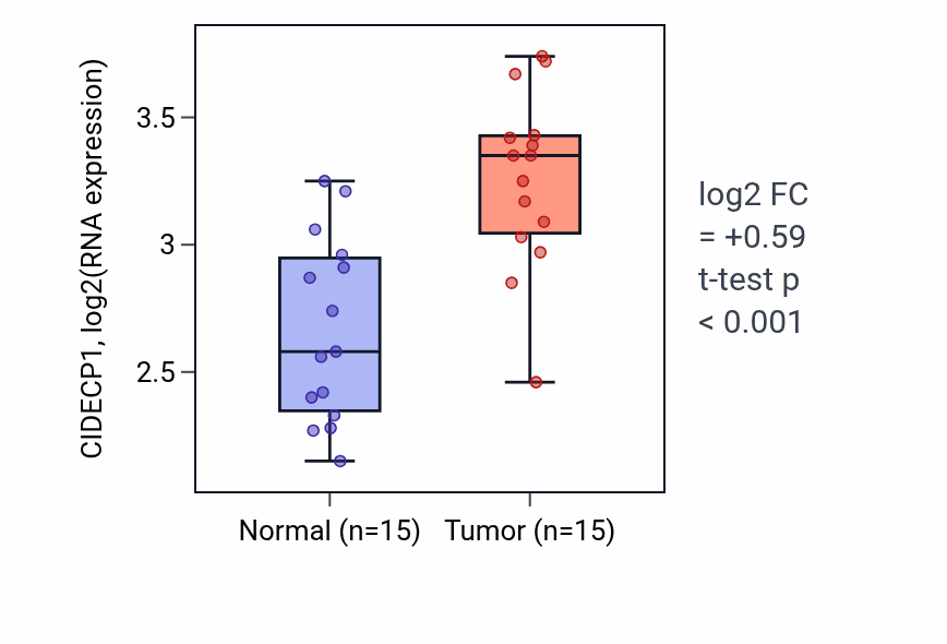 Tumor-vs-normal expression box plot for CIDECP1 in KIRP.