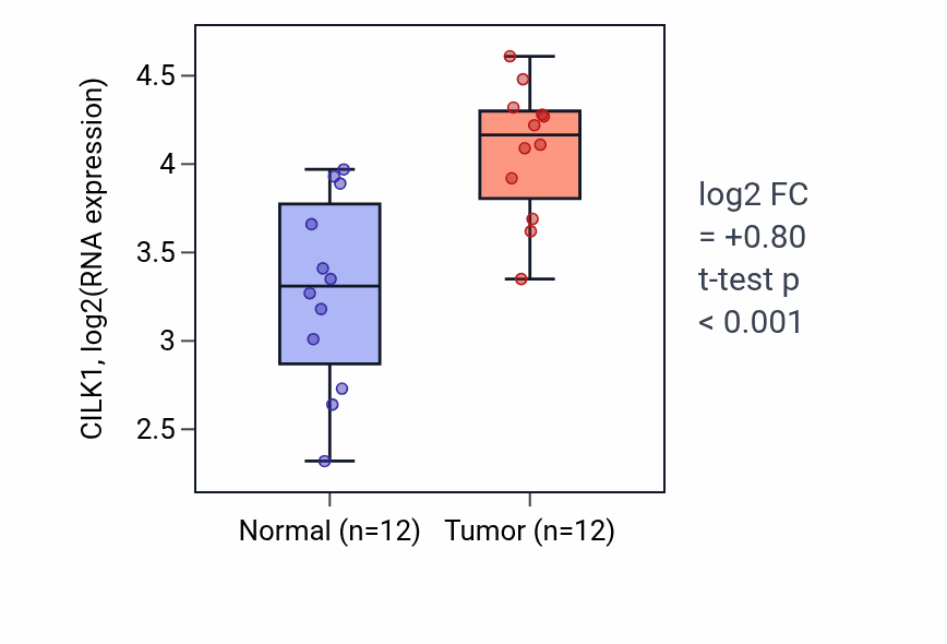 Tumor-vs-normal expression box plot for CILK1 in KIRC.