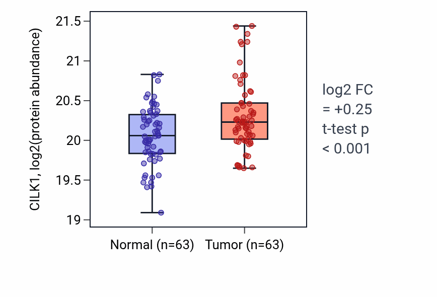 Tumor-vs-normal mass-spec protein box plot for CILK1 in LSCC.