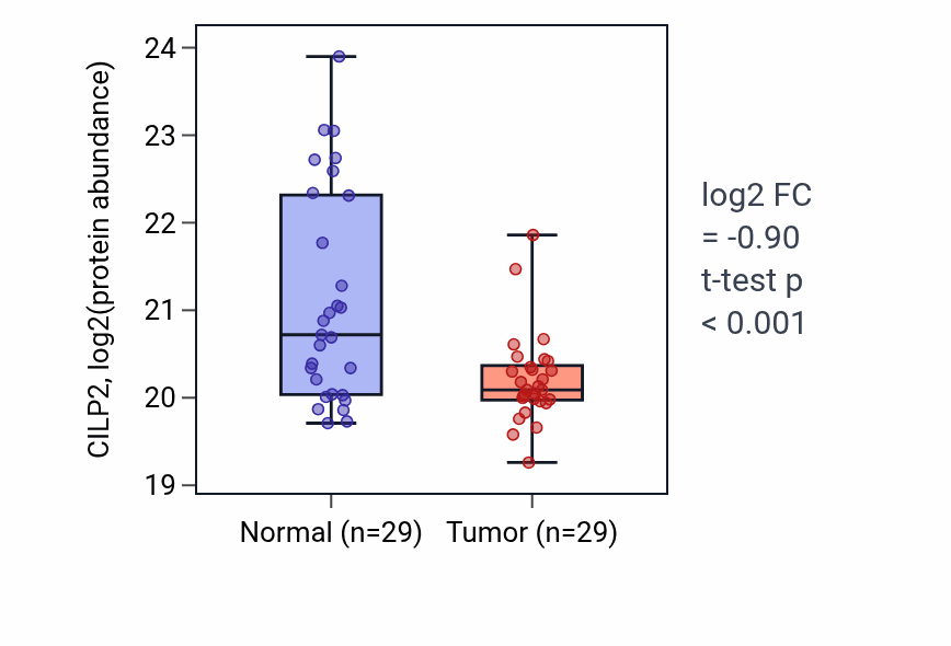 Tumor-vs-normal mass-spec protein box plot for CILP2 in HNSC.
