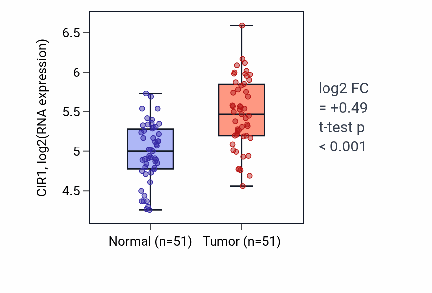 Tumor-vs-normal expression box plot for CIR1 in KIRC.
