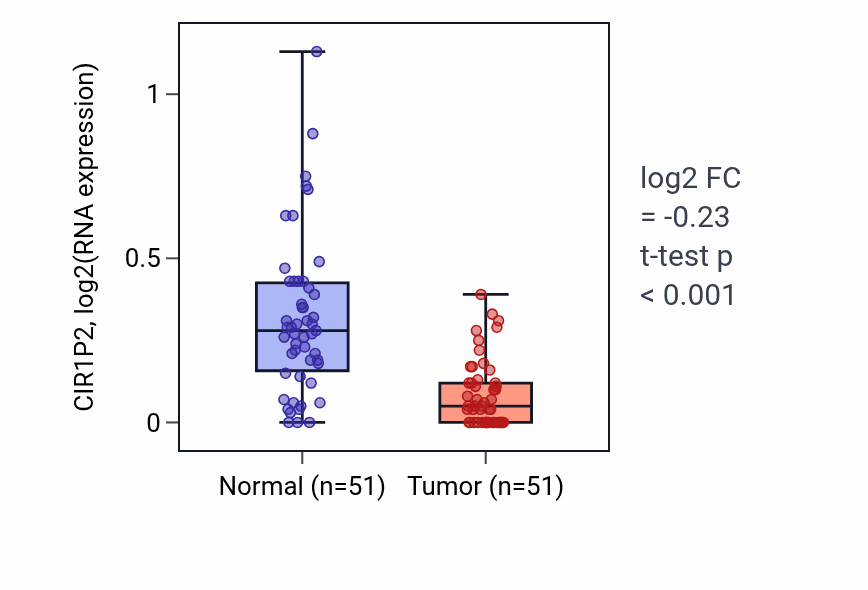 Tumor-vs-normal expression box plot for CIR1P2 in KIRC.
