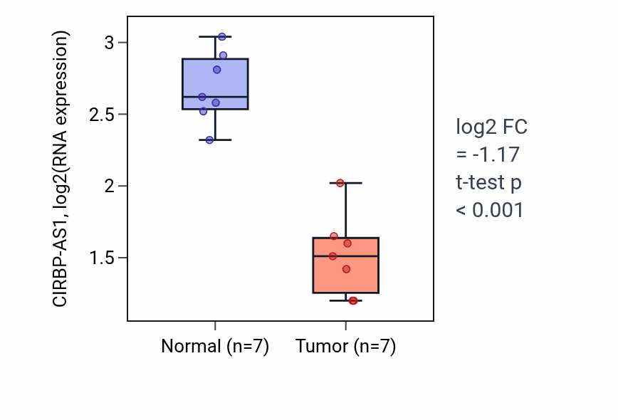 Tumor-vs-normal expression box plot for CIRBP-AS1 in THCA.