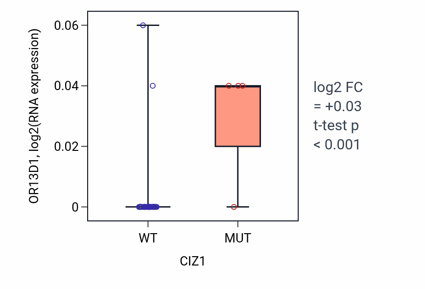 Box plot of OR13D1 in CIZ1-low vs CIZ1-high samples in URINARY_TRACT.
