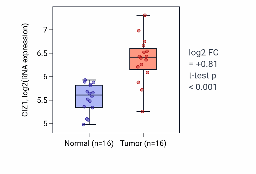 Tumor-vs-normal expression box plot for CIZ1 in HNSC.