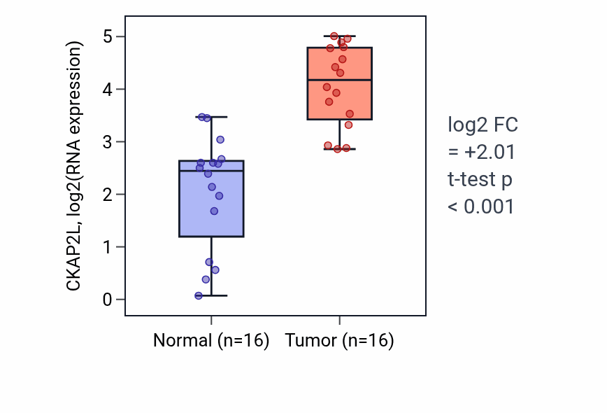 Tumor-vs-normal expression box plot for CKAP2L in HNSC.