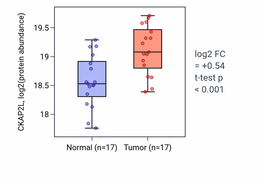 Tumor-vs-normal mass-spec protein box plot for CKAP2L in HNSC.